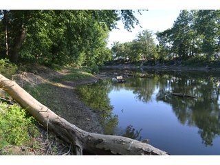 Property photo 26 - 64 Acre Farm Offered in 4 Tracts or in Combinations - Real Estate Auction